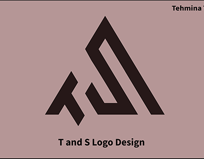 Letter T and S Grid Logo Design
