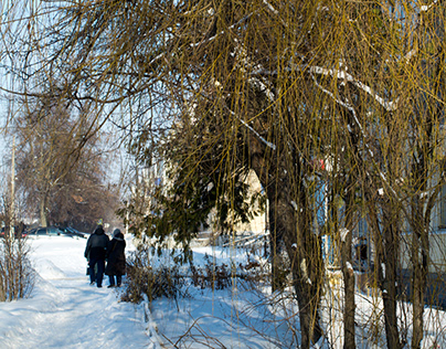 Winter landscape with weeping willow