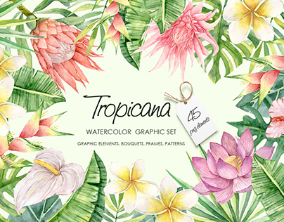 Tropicana. Watercolor graphic set