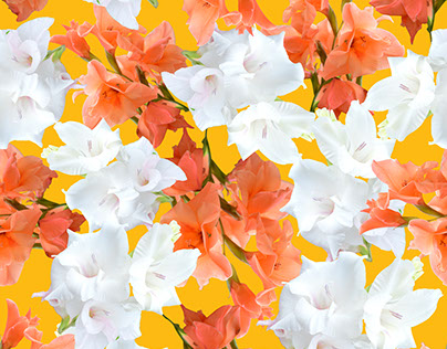 Peach & White Gladiolus Flower Pattern