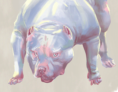 Stylized Bulldog