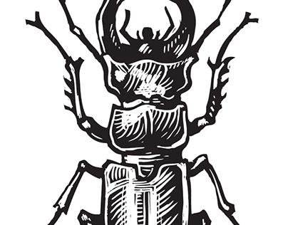 Stag Beetle & Honey Bee