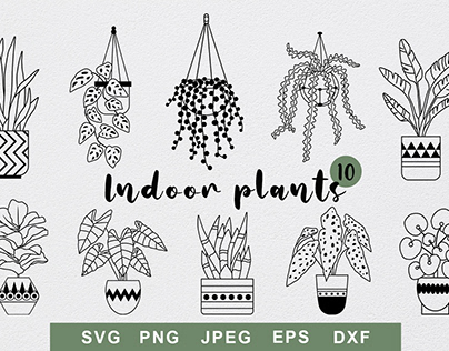 Trendy indoor plants. Graphic set