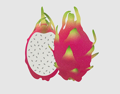 Fruit Illustrations Vol. 1