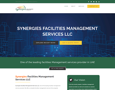Synergies FM Business Website Design
