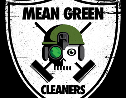 Mean Green Cleaners