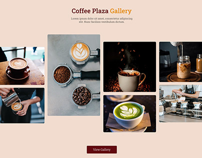 Coffee Plaza - Wordpress Theme Design