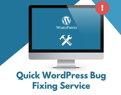 I will fix WordPress issues, WordPress errors, and bugs
