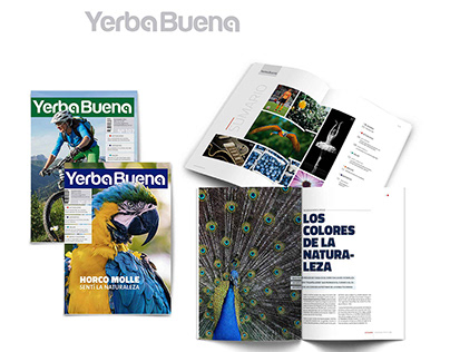 Rediseño Revista Yerba Buena