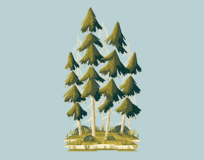 A Cluster of Pine Trees