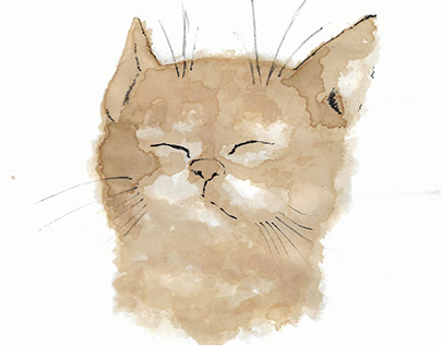 kitten made with coffee as paint