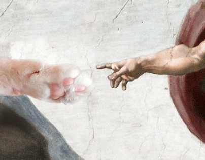 The Creation Of The Cat
