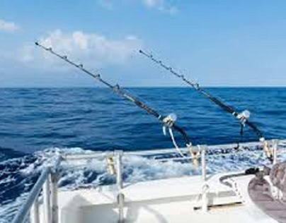 experience of Saltwater Sports Fishing at Florida
