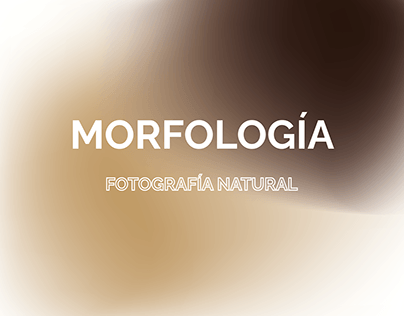Morfología | Fotografía