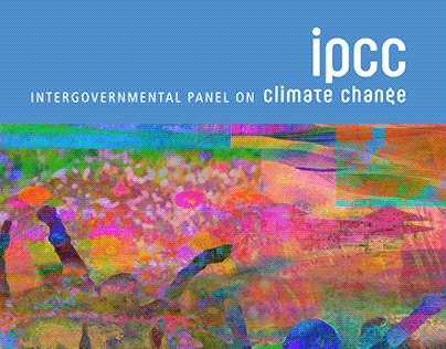 My experience with the IPCC
