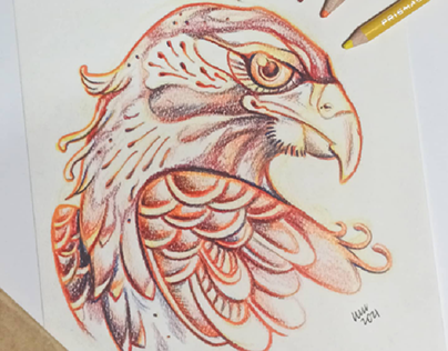 Sketch - Águila Real