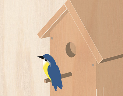 Process Poster: How to Build a Birdhouse