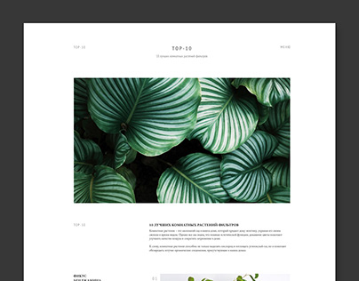 Landing page - Top 10 best home plants