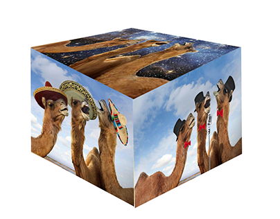 Camel Cube