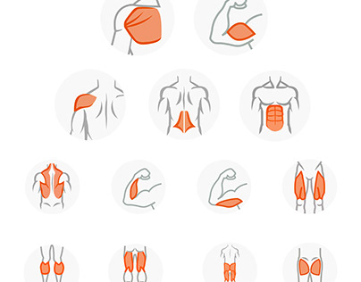 Human Muscle Icon Design