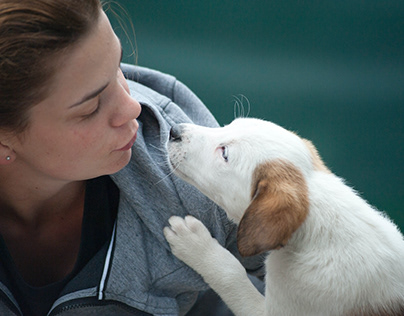 How Fostering Animals Benefits Your Mental Health