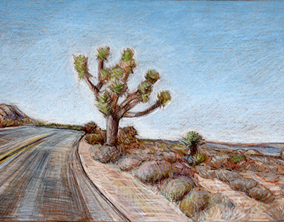 Mojave Love - drawings of the desert I love.