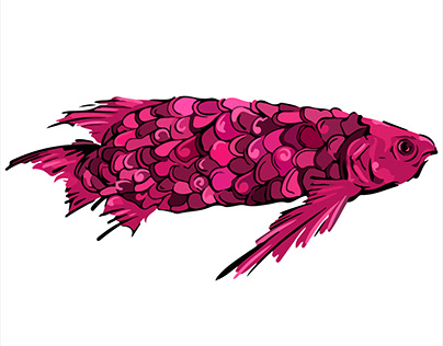 PinkRindabonFish