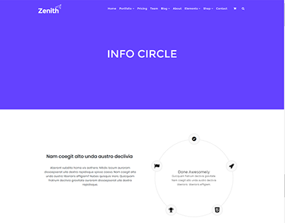 IInfo Circle Page - Zenith WordPress Theme