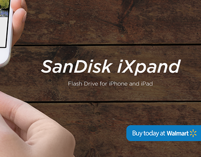 SanDisk - Channel Graphics
