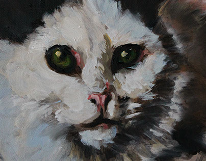 Cat (commission), Oil painting