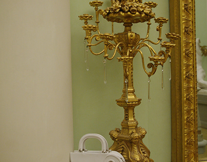 Venus bag photographed in the Uffizzi, R. Fedi