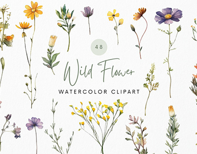 Watercolor Wildflower Clipart