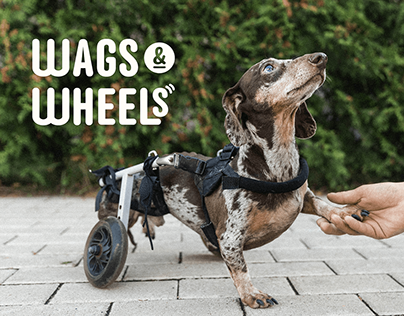 Wags & Wheels | Visual Identity