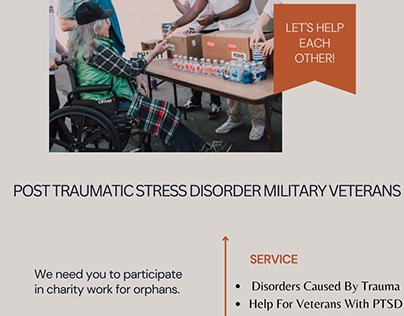 Post Traumatic Stress Disorder Military Veterans