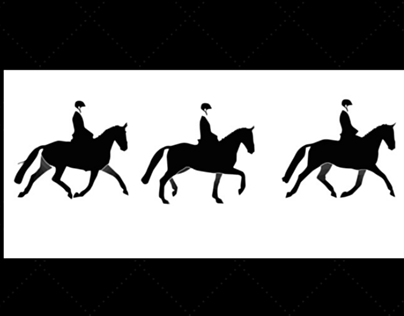 Graphic horse.Dressage Ilustration.Doma Clásica