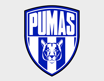 Project thumbnail - Associación Pumas de Fútbol