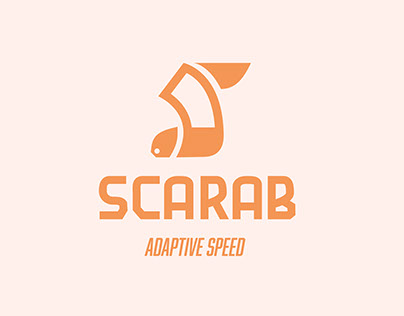 SCARAB branding project
