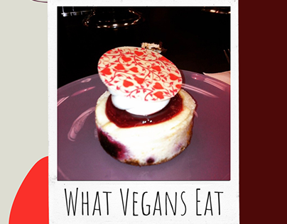 What Vegans Eat - Fake Meat and Sweets!