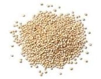 Quinoa Grain Market Rising