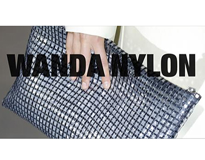 Wanda Nylon
Un pied dans la cour des grands