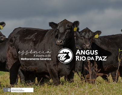 Rebranding - Angus Rio da Paz