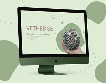 Vethedge | web design