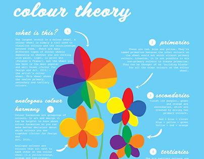 Colour Theory Infographic