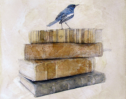 Birds & Books