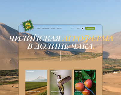Valle de Chaca | website for an agricultural farm
