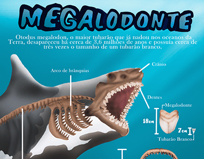 Infográfico Megalodonte
