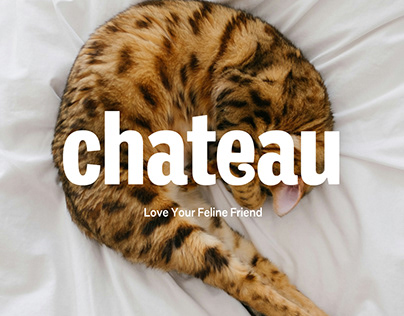 Chateau Cat | Brand Identity