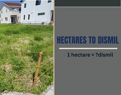 1 hectare to dismil