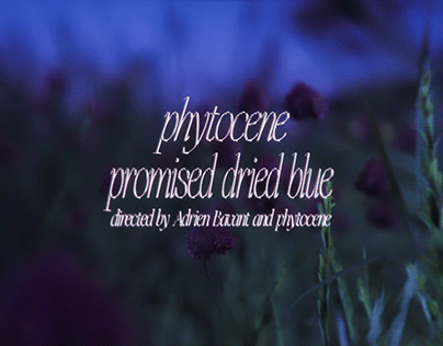 PHYTOCENE - PROMISED DRIED BLUE