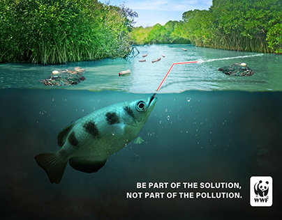 PLASTIC PROBLEM (WWF)